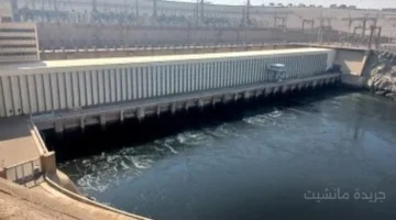 بيان رسمي.. وزارة الري تؤكد إدارة المنظومة المائية تتم بكفاءة عالية لمواجهة أي تحديات 1